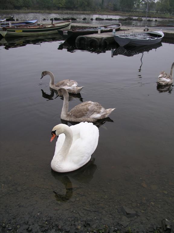 Lakeland Midsummer Lakehouse Oughterard Luaran gambar
